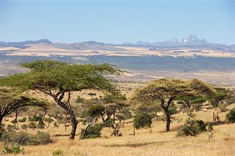 Holidaying in Kenya – Safari and What Else?