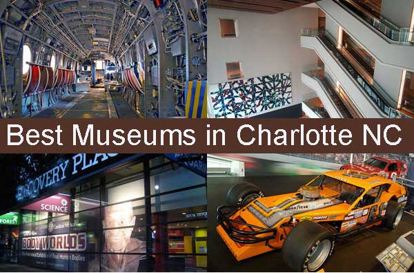 5 Best Museums to Visit in Charlotte NC