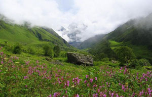 Valley of Flowers National Park – Rolling Meadows and Gushing Streams
